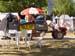 Camping Chon du Tarn#58977B