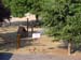 Camping Chon du Tarn#58978E
