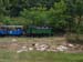 Petit train des Cevennes